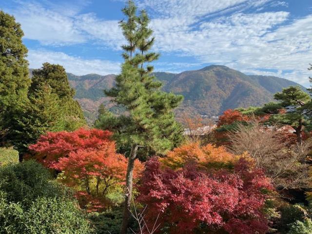 Hotel Marroad Hakone Ngoại thất bức ảnh